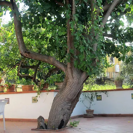 Casa vacanze Casa Nell'orto Termini Imerese